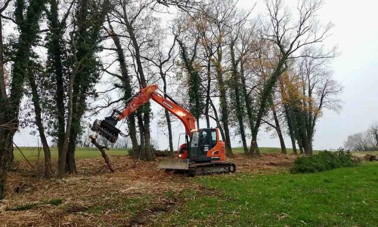 Broyage forestier - Rumilly - T.P.A.F GIET